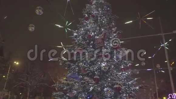 美丽的圣诞树矗立在公园的中央屋前修剪的户外圣诞树视频的预览图