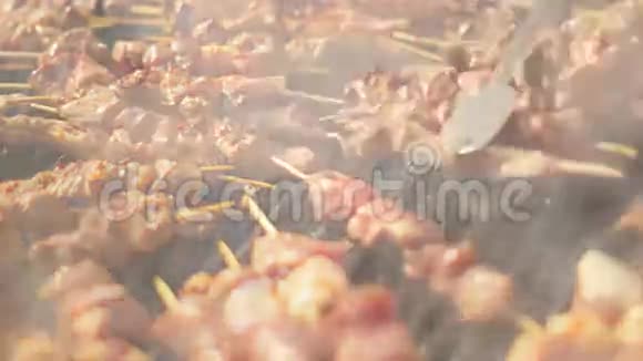 烧烤烤串野餐的主厨视频的预览图