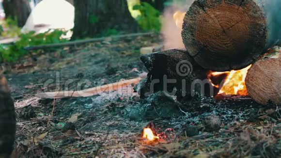 一种笼罩着火焰的燃烧的大原木的景象自然旅游和生存的篝火视频的预览图