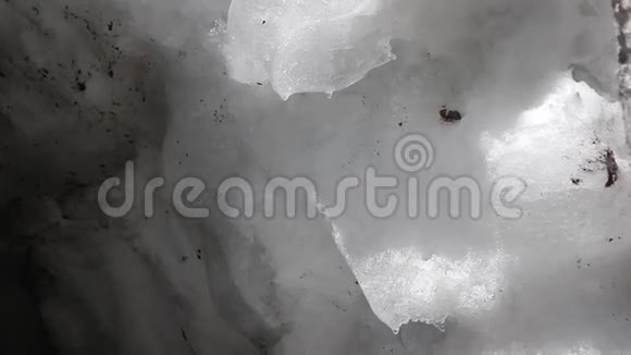 冰川融化雪的细节视频的预览图