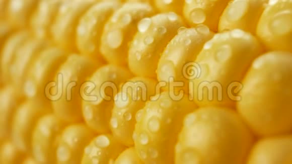 用水滴在玉米芯上熟黄的鲜玉米视频的预览图