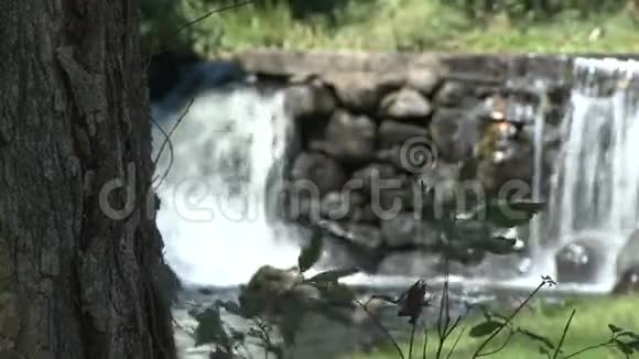 美丽的溪流瀑布5分之4视频的预览图