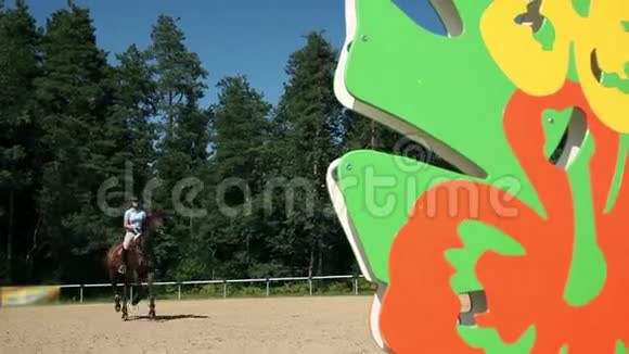 女子骑师学习和骑马在大自然和准备视频的预览图