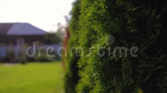 带花园的私人住宅后面的外部视频的预览图
