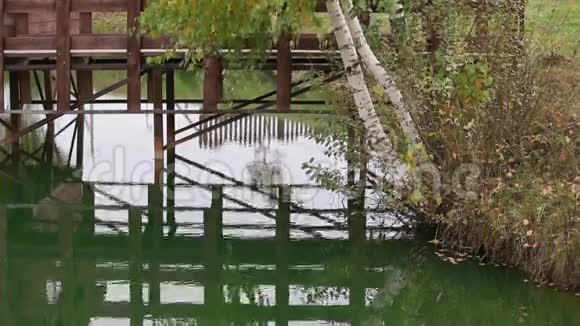 秋天的湖桦树的枝条叶黄背景中有桥视频的预览图