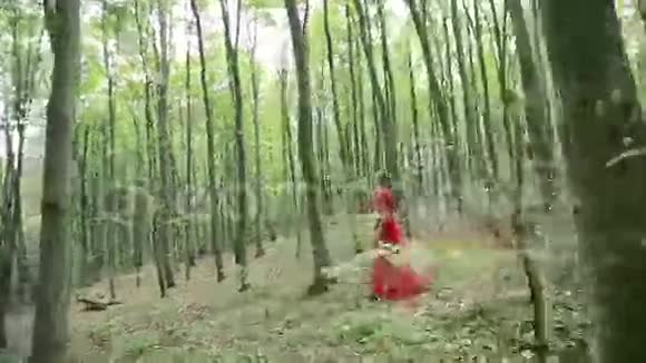童话女孩在森林里散步视频的预览图
