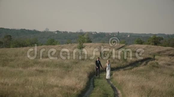 日落时分在田野里的恋人们一对相爱的夫妇牵着手走来走去视频的预览图