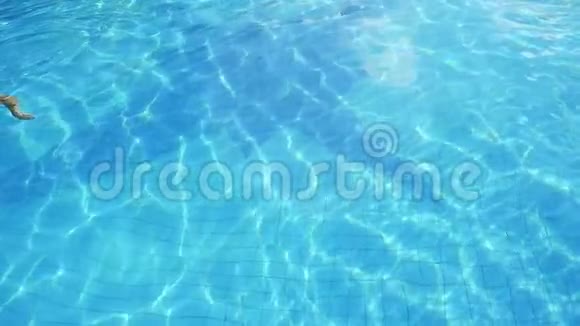 布鲁内特苗条美丽的女人在游泳池里缓慢地游泳1920x1080视频的预览图
