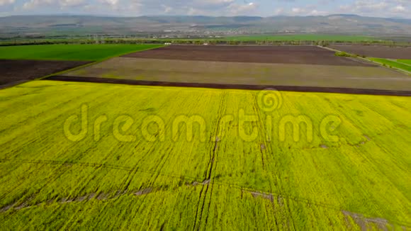 空中无人驾驶飞机飞过油菜田视频的预览图