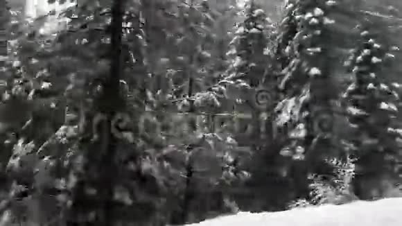 从车上经过树木和地面的雪视频的预览图