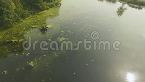 日落时的沼泽空中拍摄夏季自然无人机视频的预览图