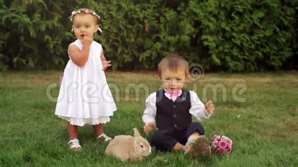 小男孩和小女孩在草地上玩兔子视频的预览图