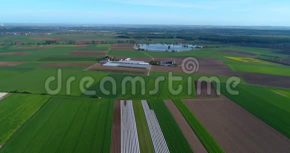 农业欧洲农业整洁的田野高瞻远瞩多彩的田野视频的预览图