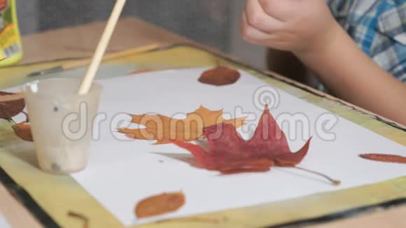 孩子用树叶做标本室特写镜头视频的预览图