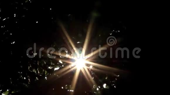阳光透过树上的叶子A闪闪发光视频的预览图