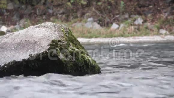 清澈的水流过石头视频的预览图