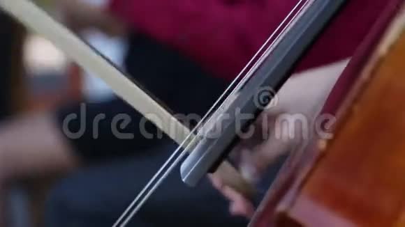 音乐家们演奏弦乐器视频的预览图