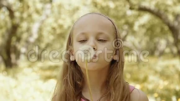 一个可爱的小女孩吹蒲公英视频的预览图