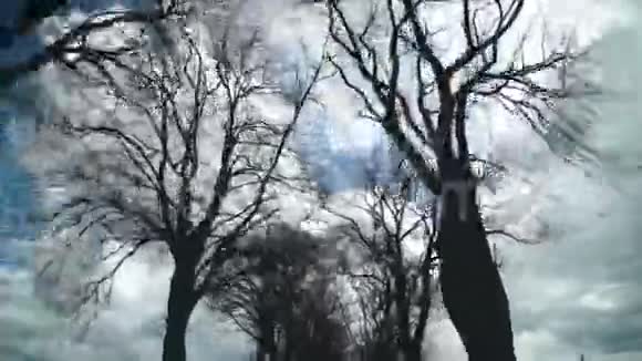 市外沥青道路那里有没有生命的枯树和草视频的预览图