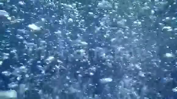 空气气泡在蓝海中流动视频的预览图