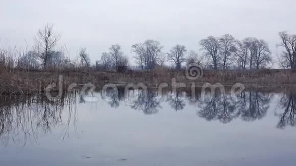 深秋的小湖视频的预览图