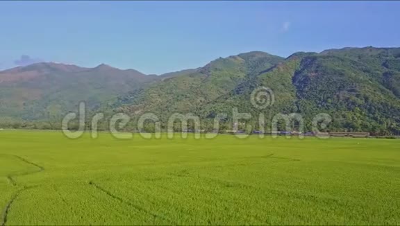 鸟瞰绿色稻田和高山视频的预览图