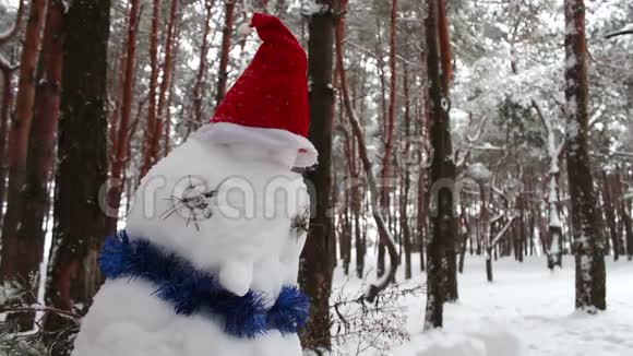 戴着圣诞老人帽子的雪人视频的预览图