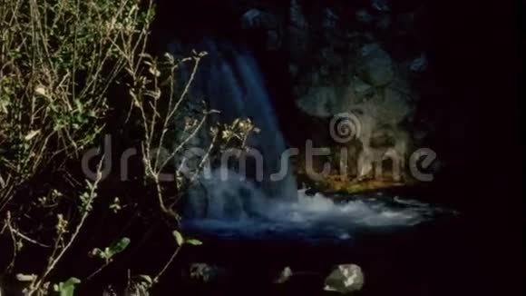 森林瀑布的风景视频的预览图