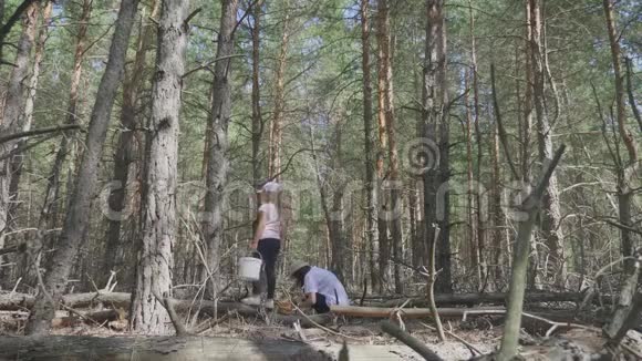 妈妈和小女儿在秋天的森林里上路一家人在森林里采集蘑菇和浆果视频的预览图