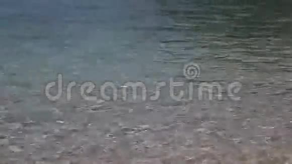 在卵石滩上冲浪视频的预览图