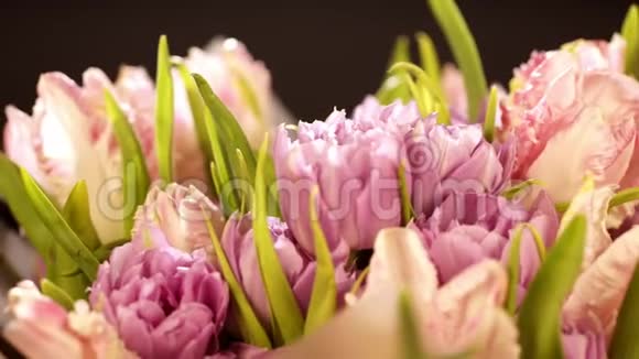 黑色背景上的淡粉色郁金香黑色背景上的一束粉红色郁金香一束美丽的卷发花束视频的预览图