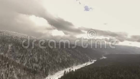 冬天飞越森林视频的预览图