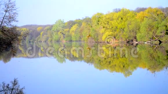 湖岸或河水上的树木反射镜视频的预览图