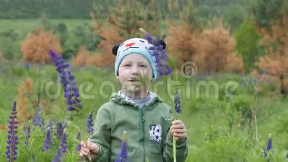 孩子们在春天的一片绿色的田野上穿着紫色的烛光视频的预览图