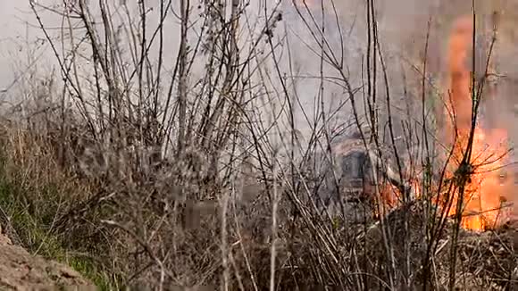 易燃的干草引起的火灾视频的预览图