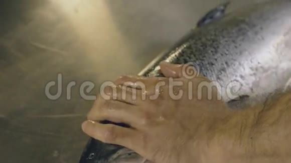 男性手接触生鱼动作缓慢视频的预览图
