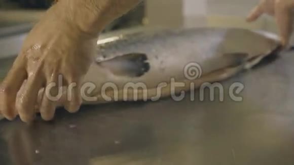 厨师手触摸新鲜鲑鱼慢动作视频的预览图