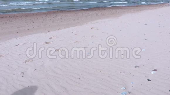 在海边沙滩上徒步旅行视频的预览图