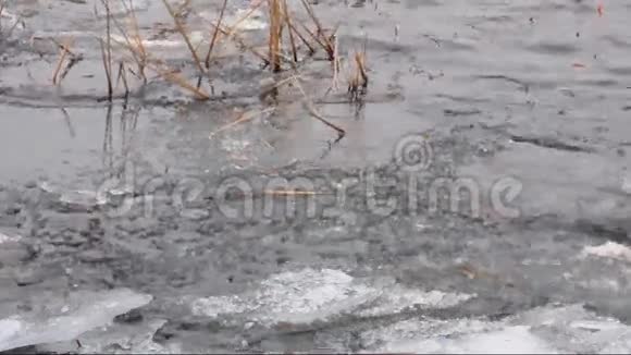 河流冰和芦苇以及小水浪视频的预览图