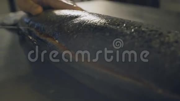 厨师手触摸新鲜鱼动作缓慢视频的预览图