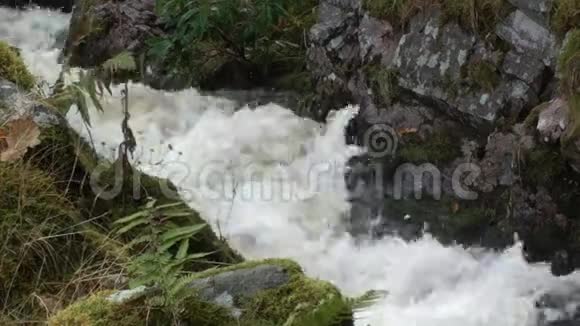 苏格兰高地降雨后山涧快速流动视频的预览图
