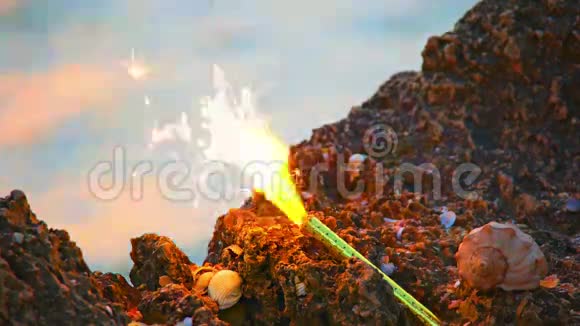 石质海岸上的麻雀蜡烛和螺旋壳视频的预览图