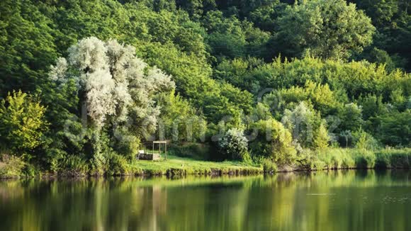 乌克兰中部的森林湖视频的预览图