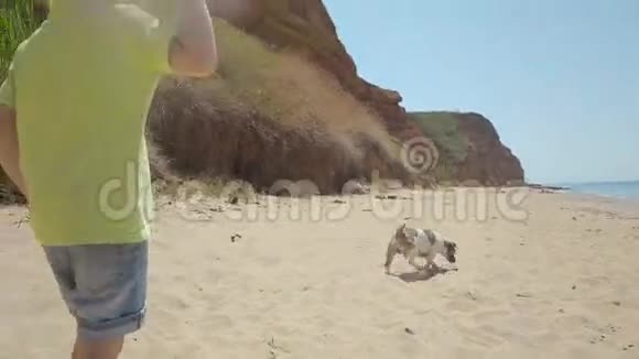 小金发男孩向他的狗扔石头视频的预览图