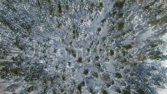 北极苔原冬天冰冻的森林空中录像视频的预览图