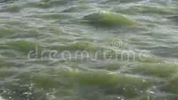 抽象海水背景视频的预览图