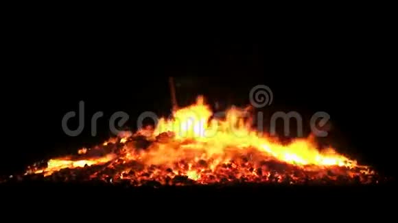 火焰燃烧火焰树枝大篝火视频的预览图