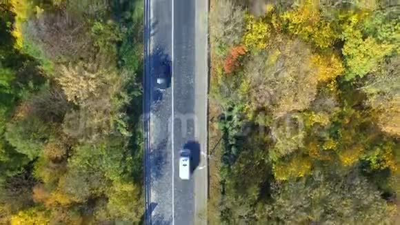 乘坐汽车在五彩缤纷的森林中的空中景色视频的预览图