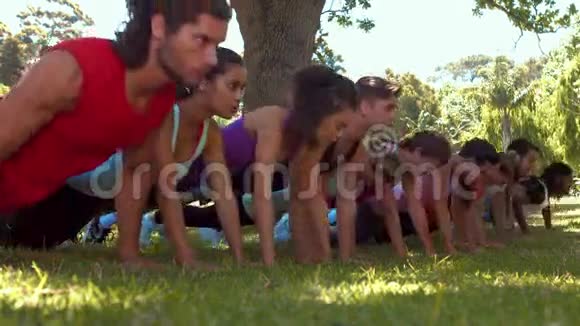 高质量的健身小组在公园做俯卧撑视频的预览图