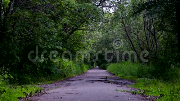 一条被遗弃的路通往Kronstadt的RIF堡科特林岛视频的预览图